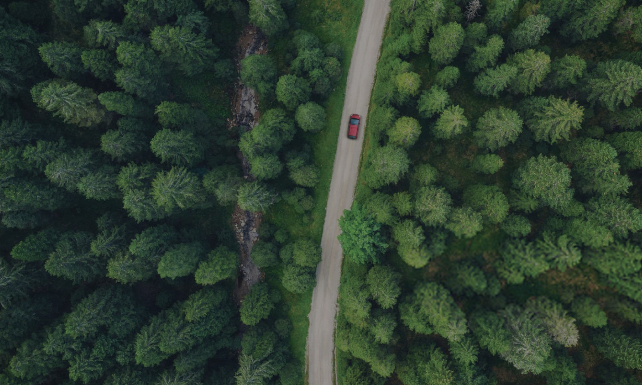 Environmental_BirdsEye